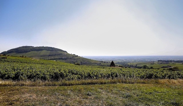 Holiday house with stunning views