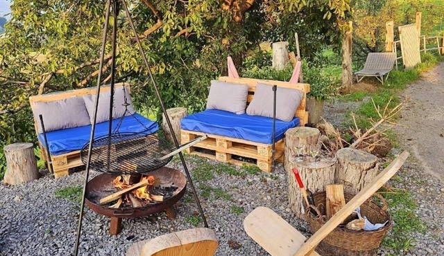 Holiday house Wollerau for 1 - 4 persons with 1 bedroom - Holiday home