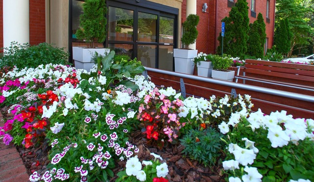 Holiday Inn Express Atlanta - Emory University Area by IHG