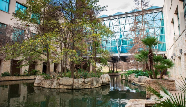 Holiday Inn Express San Antonio East I 10 by IHG