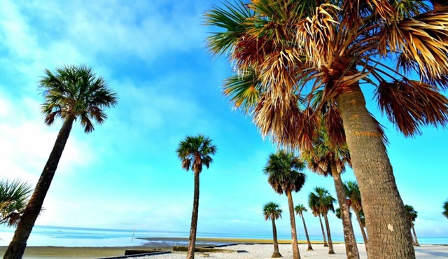 Holiday Inn Express & Suites Spring Hill by IHG