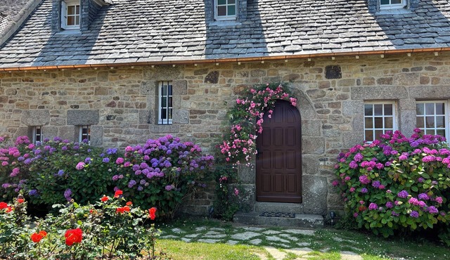 Holiday mansion by the habour with phantastic sea view + wellness area + sauna