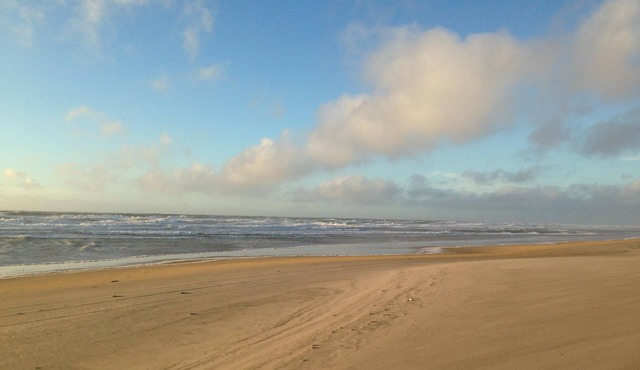 Holiday near the ocean