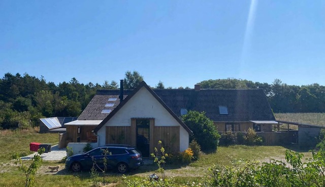 Holiday on magical nature plot for families