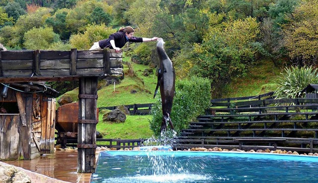 Holiday Park Cabarceno
