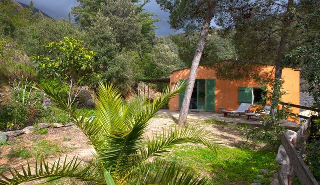 Holiday rental unusual