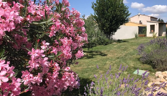 Holiday rental with pool in the Alpilles for 6 people