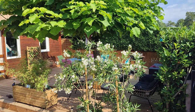 Holiday residence near the beach and the pyla dune