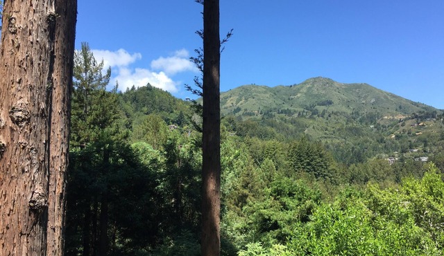 HOLIDAY SALE! Beautiful Spacious, Private Mill Valley Home. Stunning view!
