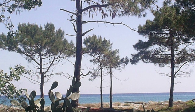 HOLIDAY 'THE WATERFRONT'