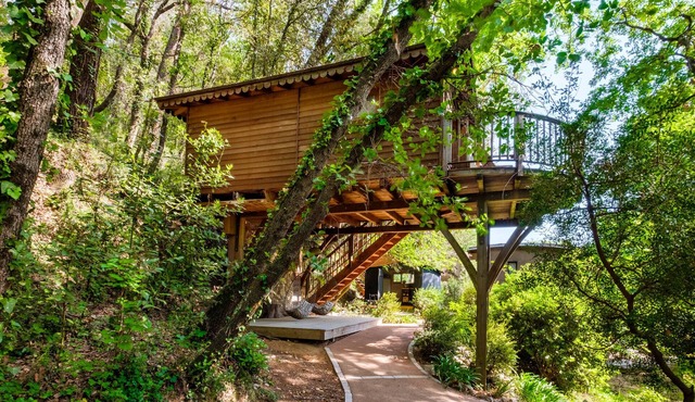 Holiday treehouse "Bagheera" with Shared Pool, Private Terrace & Wi-Fi