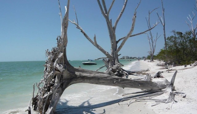 Holiday villa "Cape Florida" with private pool