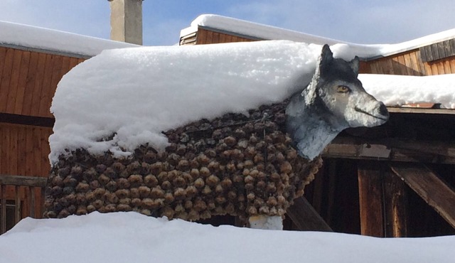 Holidays close to the slopes. Pra-Loup 1600