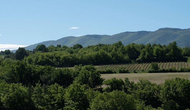 Holidays in Caseneuve in a vineyard