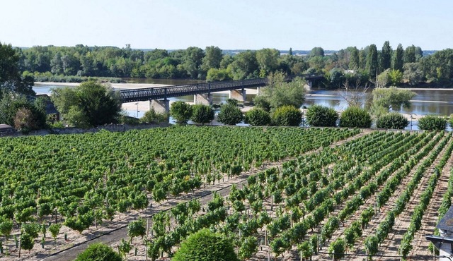 Holidays in Pouilly/Loire overlooking the Loire and the vineyards classified 2 stars