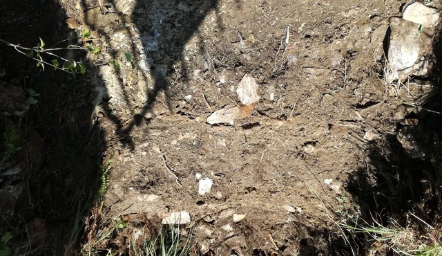 Holidays in the Cévennes in Aumessas [Le Vigan]