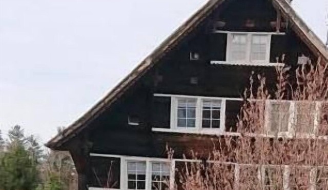 Holidays in the Vogelherd
