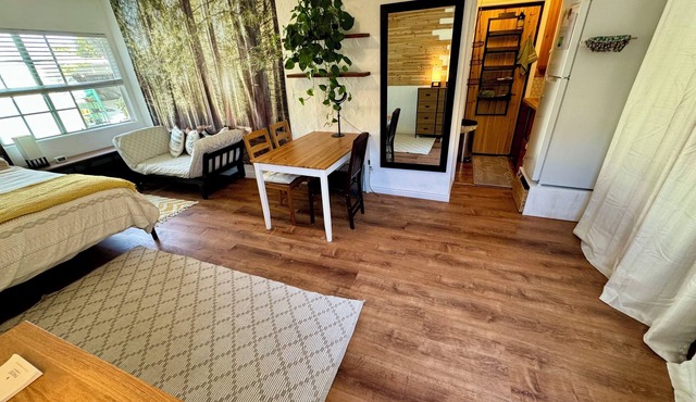 Holistic Fragrance Free Studio Home