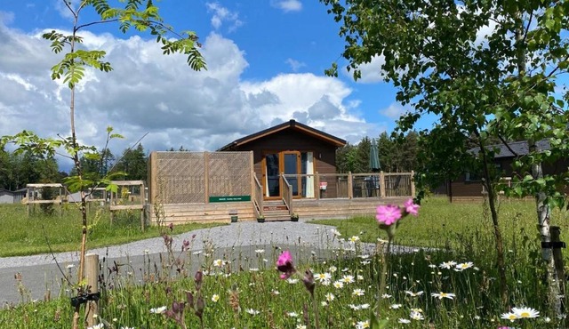 Hollicarrs - Newlands