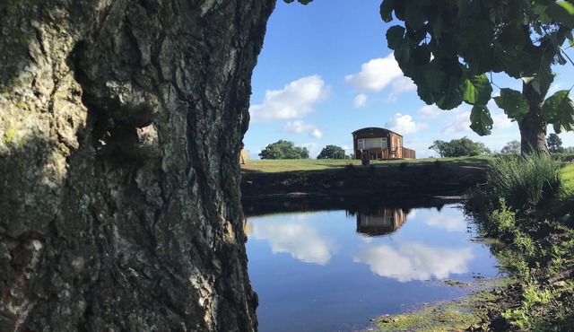 HOLLIE, family friendly, with a garden in Raglan