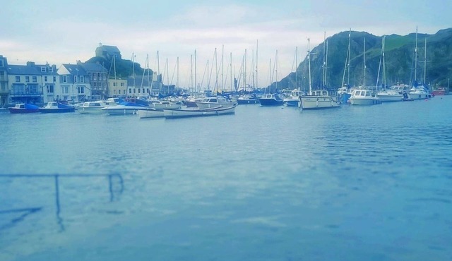 Hollies and Ilfracombe Harbour View