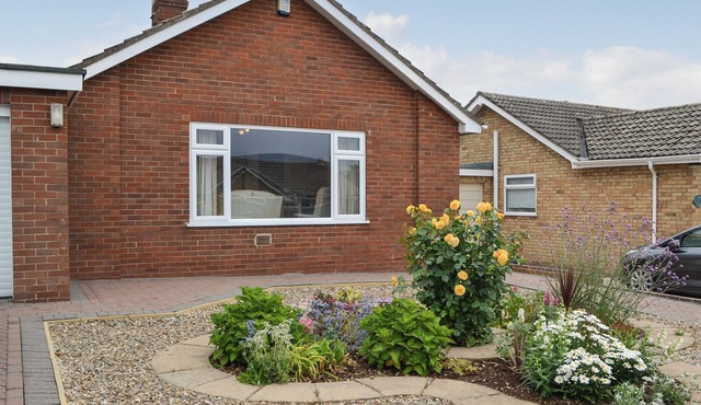 Hollins on the Coast