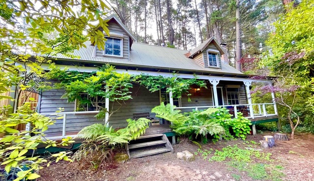 Holly Lodge - Two-Storey Cedar Chalet, 4 Bedroom, 2 Bathroom, Fireplaces, BBQ, Near Hydro Majestic