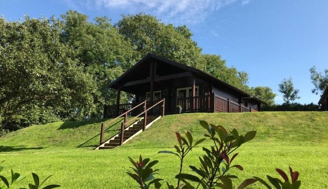 Hollybush Lodges