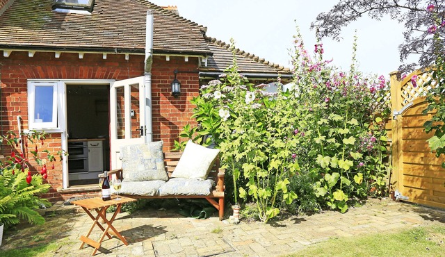 Hollyhocks - Woodbridge