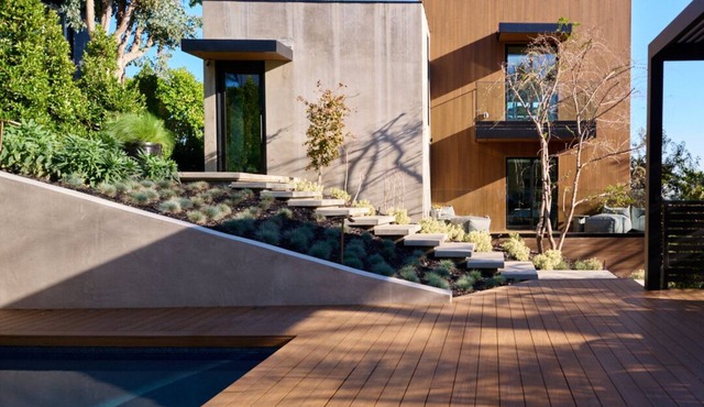 Hollyridge Mountain Dream