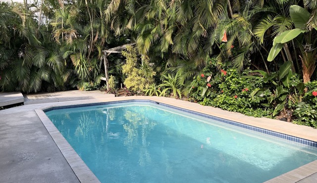 Hollywood Oasis