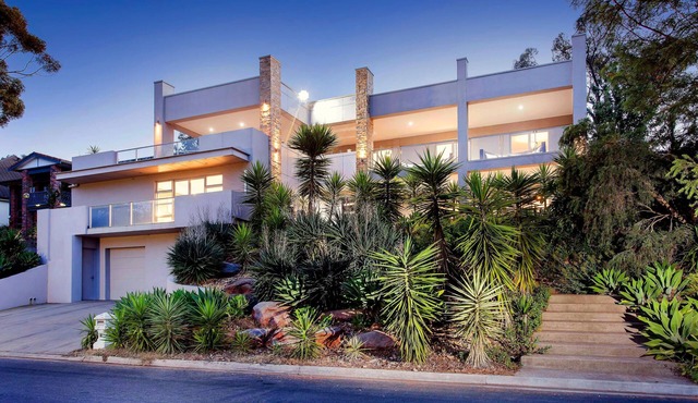 Hollywood Tree House