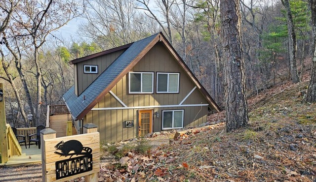 Holocene Chalet - treetop mountain views!