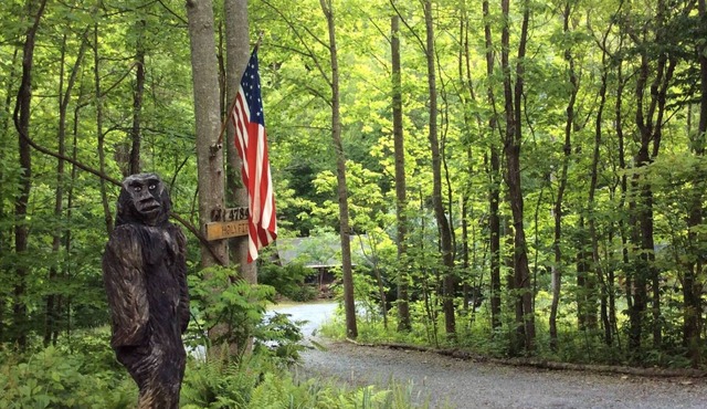 Holyfield Cabin and Bunkhouse