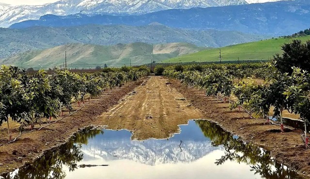 Home Among the Orchards, Pool, National Parks, Friendliest of Towns
