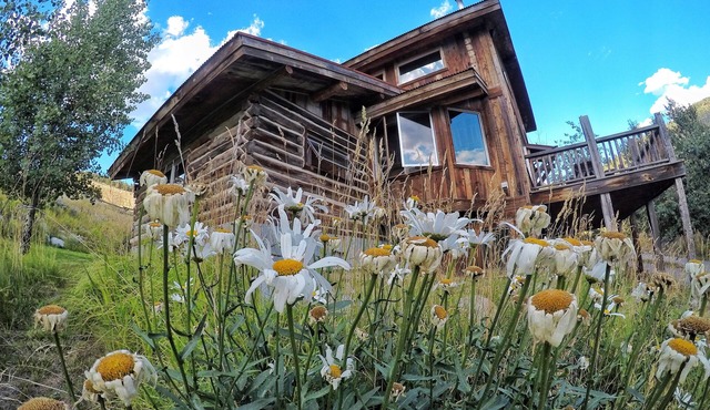 Home Away from Home 5 miles to the north entrance of Yellowstone