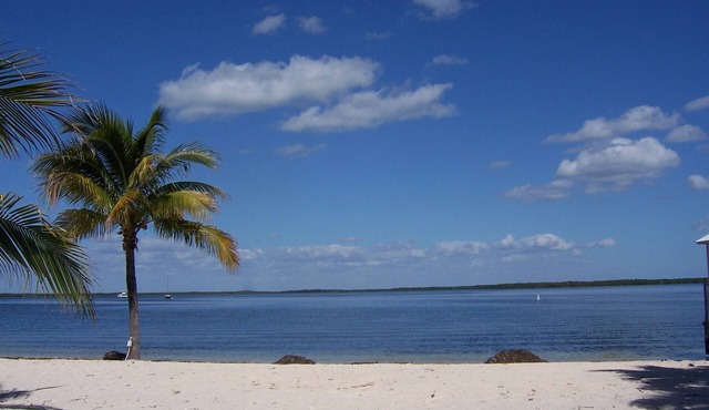 Home Away From Home, Cozy 3 Bedroom Beachfront & Waterfront Key Largo Home