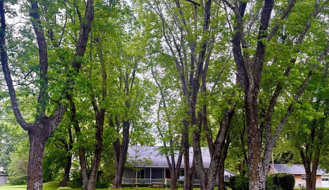 Home away from Home in the Twin Lakes Area! Relax on the Front Porch Swing!