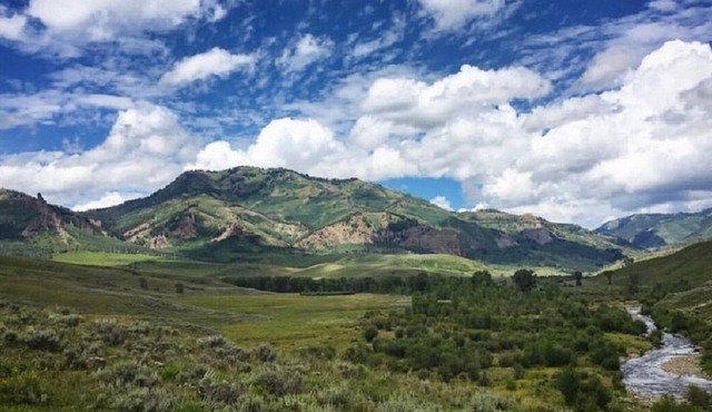 Home Away From Home - Off-Grid Cabin - 14 miles into Gunnison National Forest