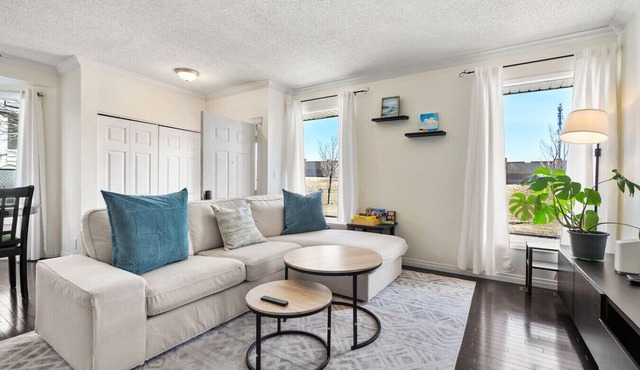 Home Away From Home » Pet Friendly » Work Space