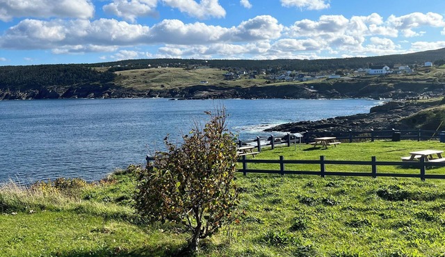 "Home From Away" Oceanfront Home Pouch Cove NFLD (year round)