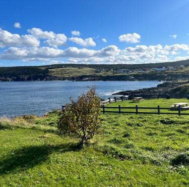 Home From Away - Year Round Oceanfront Home Pouch Cove NFLD