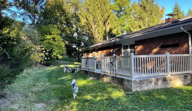 Home in resort spa town of Hot Springs, VA w/Mountain View’s, fire-pit.
