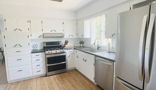 Home movie theater, channel front,Fox River&Chain O'Lakes access- by Downtown!