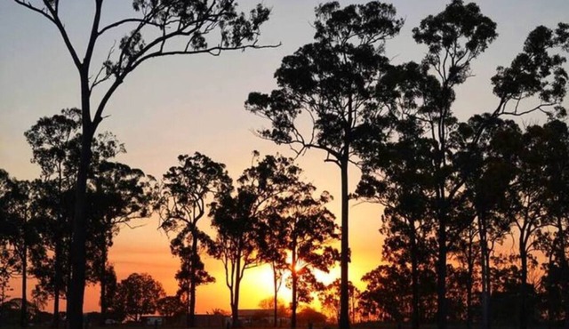 Home near Bundaberg! 4 bedrooms 9 beds 11 acres