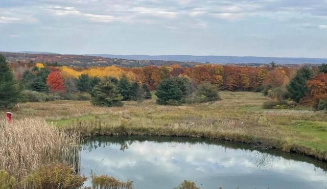 Home of the NASCAR Cup Series! Unwind at a one-of-a-kind countryside retreat.