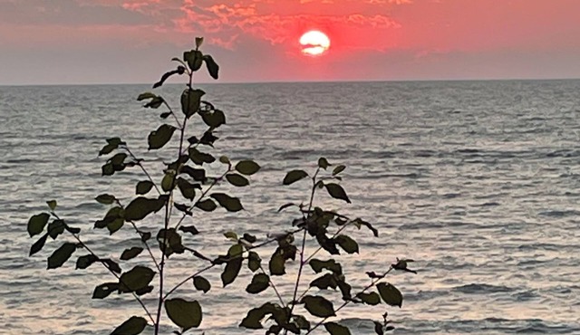 Home on Lake Erie in Westfield, NY Concord Region