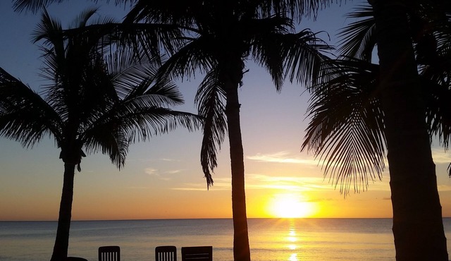 Home with adjoining Pool House! 12 Bedrooms 8 baths, TIKI Bar & Gathering room!