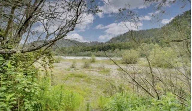 Home with Giant Redwood’s on the Eel River (w/river access)