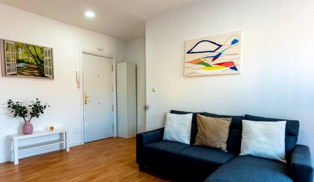 Homely 2 Bedroom Apartment in Barajas
